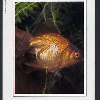 Bernera 1982 Ornamental Fish imperf deluxe sheet (£2 value) unmounted mint