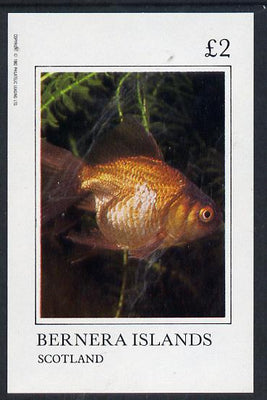 Bernera 1982 Ornamental Fish imperf deluxe sheet (£2 value) unmounted mint
