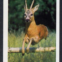 Eynhallow 1982 Deer imperf souvenir sheet (£1 value) unmounted mint