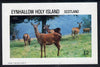 Eynhallow 1982 Deer imperf deluxe sheet (£2 value) unmounted mint