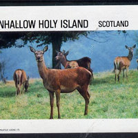 Eynhallow 1982 Deer imperf deluxe sheet (£2 value) unmounted mint