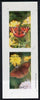 Eynhallow 1981 Butterflies imperf set of 2 values unmounted mint