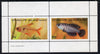 Eynhallow 1982 Tropical Fish perf,set of 2 values (40p & 60p) unmounted mint