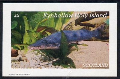 Eynhallow 1982 Tropical Fish imperf deluxe sheet (£2 value) unmounted mint