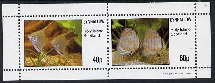 Eynhallow 1981 Tropical Fish perf,set of 2 values (40p & 60p) unmounted mint
