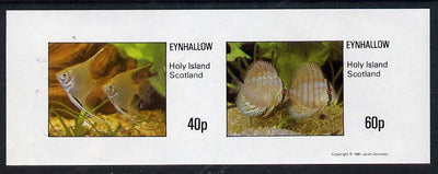 Eynhallow 1981 Tropical Fish imperf,set of 2 values (40p & 60p) unmounted mint