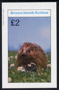 Bernera 1982 Animals (Hedgehog) imperf deluxe sheet (£2 value) unmounted mint