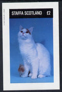 Staffa 1982 Cats imperf deluxe sheet (£2 value) unmounted mint