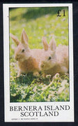Bernera 1982 Rabbits imperf souvenir sheet (£1 value) unmounted mint
