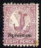New South Wales 1888-89 Lyrebird 8d perf 11x12 overprinted SPECIMEN in black some original gum, SG 257s