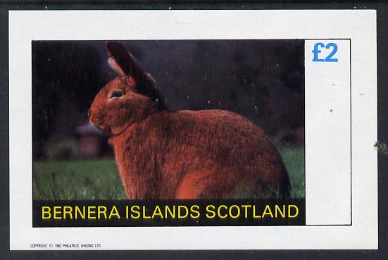 Bernera 1982 Rabbits imperf deluxe sheet (£2 value) unmounted mint