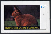 Bernera 1982 Rabbits imperf deluxe sheet (£2 value) unmounted mint