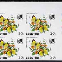 Lesotho 1984 Butterflies Lemon Traveller 20s imperf with background colour omitted, unmounted mint plate block of 4