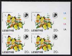 Lesotho 1984 Butterflies Lemon Traveller 20s imperf with background colour omitted, unmounted mint plate block of 4
