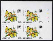 Lesotho 1984 Butterflies Lemon Traveller 20s imperf with background colour omitted, unmounted mint plate block of 4