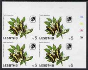 Lesotho 1984 Butterflies Christmas Butterfly 5m (top value) imperf with background colour omitted, unmounted mint plate block of 4 (very minor inking flaw back & front)