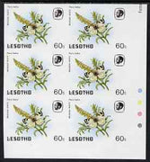 Lesotho 1984 Butterflies Meadow White 60s imperf proof with background colour omitted, unmounted mint colour-dot block of 6
