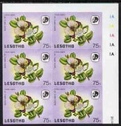 Lesotho 1984 Butterflies Queen Purple Tip 75s imperforate, unmounted mint plate block of 6