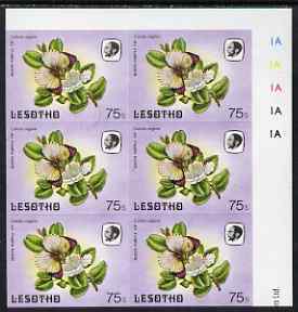 Lesotho 1984 Butterflies Queen Purple Tip 75s imperforate, unmounted mint plate block of 6