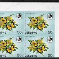 Lesotho 1984 Butterflies Broad-Bordered Grass Yellow 50s imperforate, unmounted mint plate block of 4, some marks in top margin