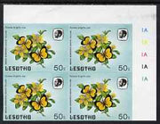 Lesotho 1984 Butterflies Broad-Bordered Grass Yellow 50s imperforate, unmounted mint plate block of 4, some marks in top margin