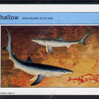 Eynhallow 1982 Sharks imperf deluxe sheet (£2 value) unmounted mint