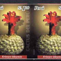 Peru 2004 Cacti 1s20 Eriosyce islayensis imperf pair unmounted mint as SG2202