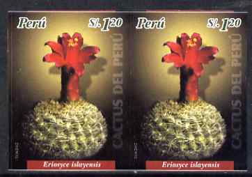Peru 2004 Cacti 1s20 Eriosyce islayensis imperf pair unmounted mint as SG2202