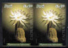 Peru 2004 Cacti 6s80 Pymaeocereus bylesianus imperf pair unmounted mint as SG2203