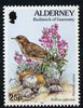Guernsey - Alderney 1994-98 Flora & Fauna Defs 25p Rock Pipit & Sea Stock unmounted mint SG A72b