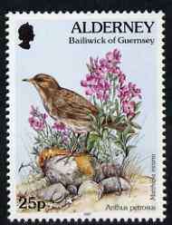 Guernsey - Alderney 1994-98 Flora & Fauna Defs 25p Rock Pipit & Sea Stock unmounted mint SG A72b
