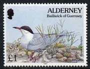 Guernsey - Alderney 1994-98 Flora & Fauna Defs £1 Tern & Grass unmounted mint SG A76