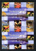 Peru 2002,Biological Conference 4$80 imperf pair unmounted mint