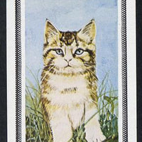 Staffa 1977 Cats (Tabby Kitten) imperf souvenir sheet (£1 value) unmounted mint
