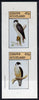 Staffa 1981 Birds of Prey #04 imperf,set of 2 values (40p & 60p) unmounted mint