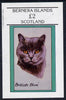 Bernera 1982 Cats (British Blue) imperf deluxe sheet (£2 value) unmounted mint