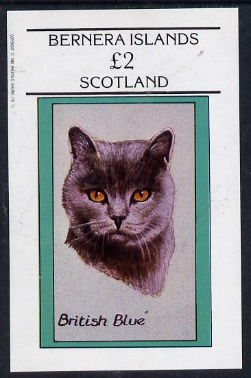 Bernera 1982 Cats (British Blue) imperf deluxe sheet (£2 value) unmounted mint