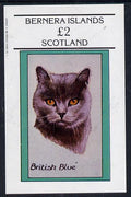 Bernera 1982 Cats (British Blue) imperf deluxe sheet (£2 value) unmounted mint