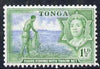 Tonga 1953 Shore Fishing 1.5d unmounted mint SG 102