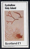 Eynhallow 1982 Sea Weed imperf souvenir sheet (£1 value) unmounted mint