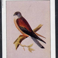 Bernera 1982 Birds of Prey (Kestrel) imperf deluxe sheet (£2 value) unmounted mint