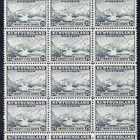 Newfoundland 1941-44 KG6 Sealing Feet 25c line perf 12.5 block of 15 unmounted mint SG 288