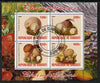 Djibouti 2009 Fungi #2 perf sheetlet containing 4 values fine cto used