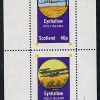 Eynhallow 1982 Early Aircraft #2 perf,set of 2 values (40p & 60p) unmounted mint