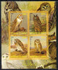 Djibouti 2009 Owls imperf sheetlet containing 4 values unmounted mint
