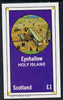 Eynhallow 1982 Early Aircraft #2 imperf souvenir sheet (£1 value) unmounted mint