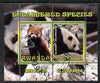 Rwanda 2009 Endangered Species - Pandas perf sheetlet containing 2 values fine cto used