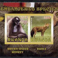 Rwanda 2009 Endangered Species - Spider Monkey & Dhole imperf sheetlet containing 2 values unmounted mint