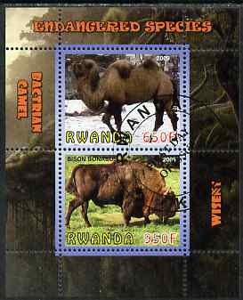 Rwanda 2009 Endangered Species - Wisent & Camel perf sheetlet containing 2 values fine cto used