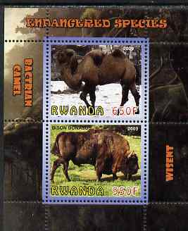 Rwanda 2009 Endangered Species - Wisent & Camel perf sheetlet containing 2 values unmounted mint